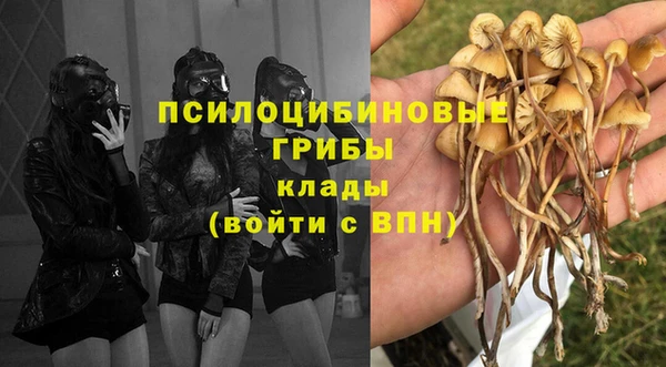 mdpv Балахна