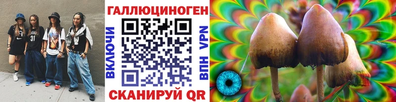 наркотики  Светогорск  блэк спрут ссылка  Псилоцибиновые грибы мухоморы 